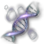 Gatti's DNA